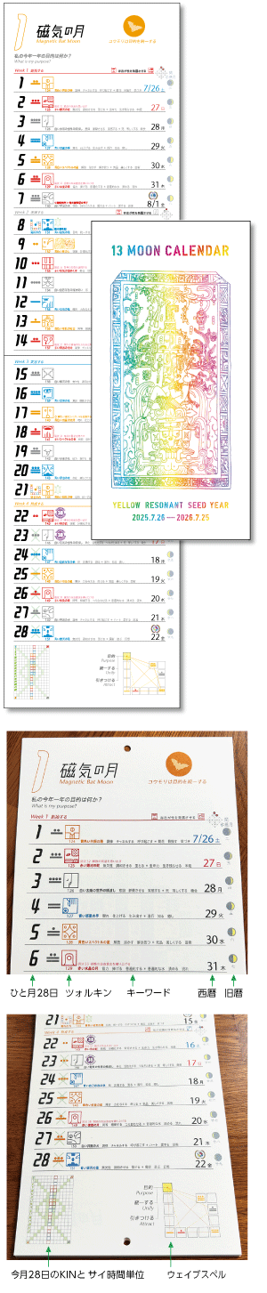 13̗̌@c^ǂ J_[FU̎̔N 2025.7.26`